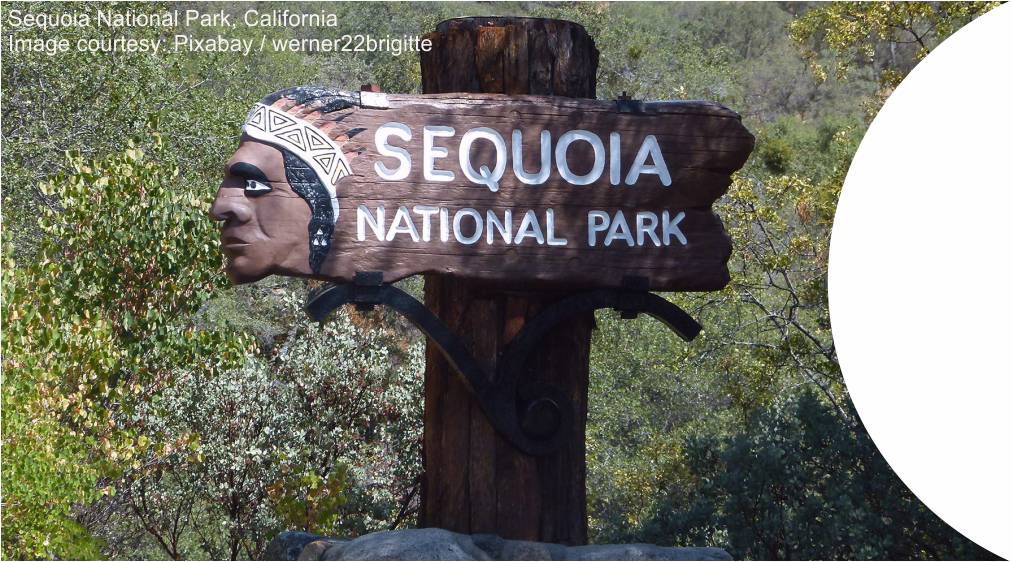 South Siera & Sequoia NP LHS image