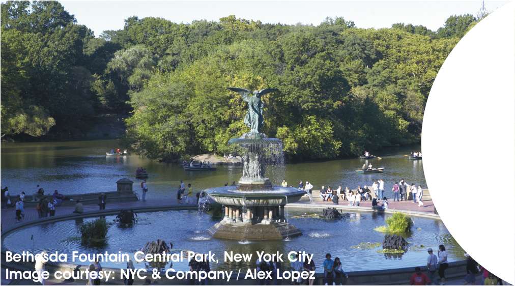 Central Park LHS image