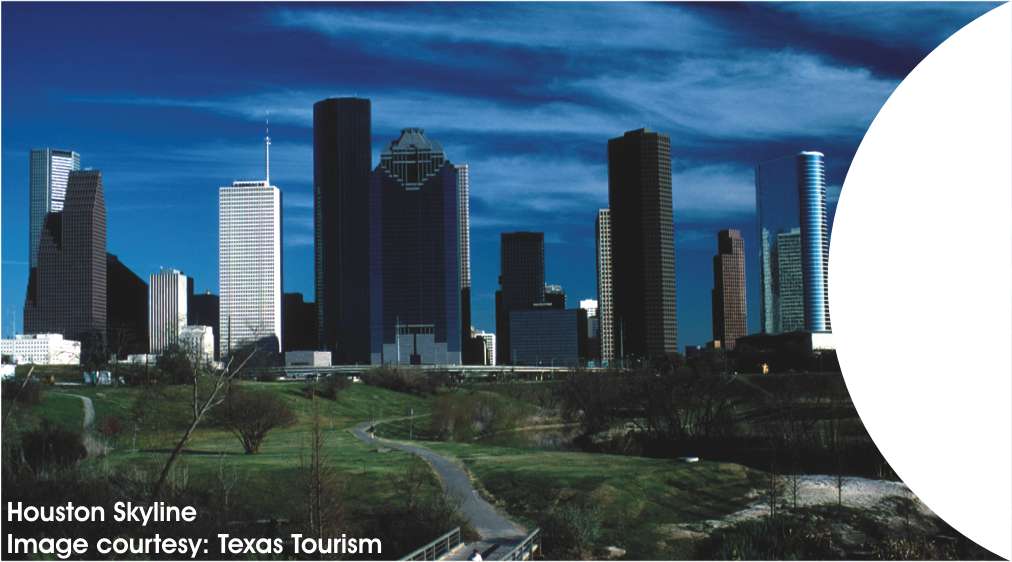 Downtown Houston LHS image