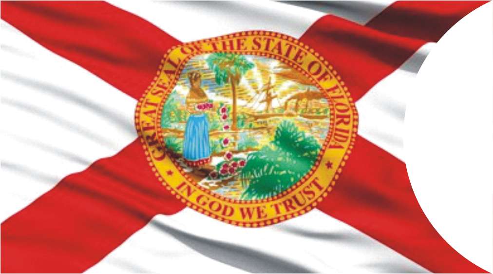 General Information in Florida - LHS image
