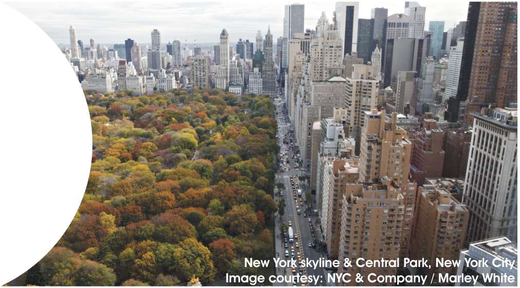 Detail City & Region Information in New York - RHS image