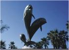 The Dolphin Fountain