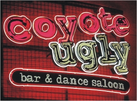Coyote Ugly - Las Vegas
