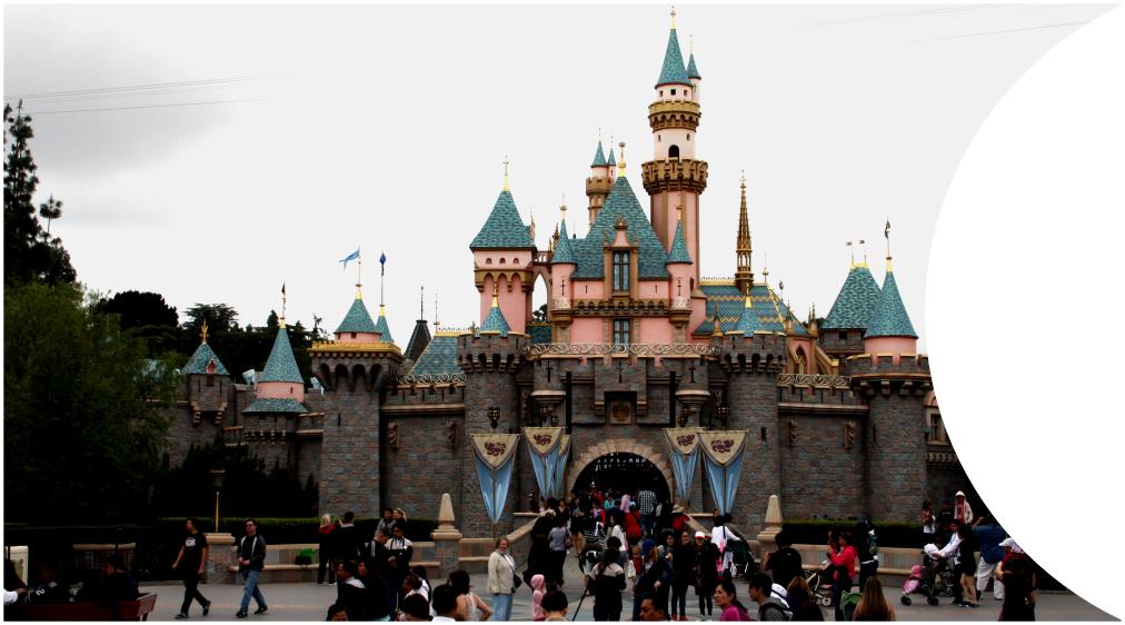 Disney Resort Area LHS image