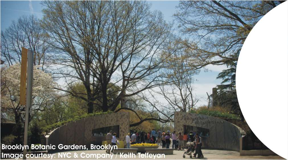 Brooklyn LHS image